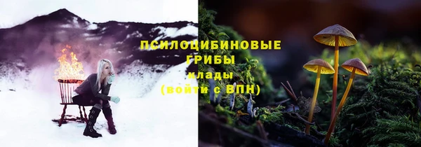прущие крисы Беломорск