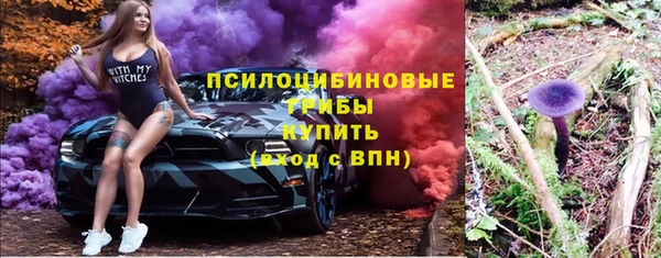 mdpv Белокуриха
