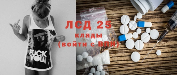 прущие крисы Беломорск
