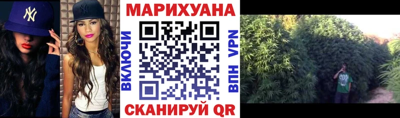 Конопля марихуана Гаврилов-Ям